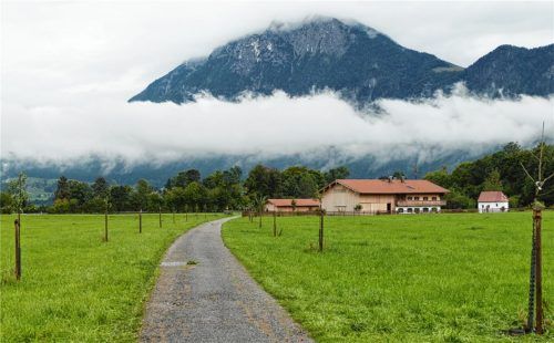 Der Blick von der Staatsstraße 2089 in Richtung Hofgut Laiming zeigt rechts und links des Weges einen Teil der gepflanzten Obstbäume, die jetzt ihren Paten zugeordnet wurden. Fotos Hoffmann