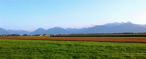 Noch dominieren Grün und Blau