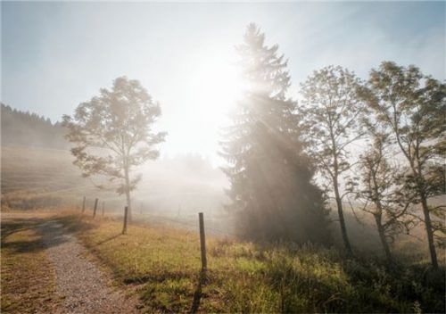Wenn sich der Nebel lichtet, glitzern die noch nassen Blätter und Spinnweben mit der Sonne um die Wette. Jetzt ist die richtige Zeit, den Berg zu erkunden. Foto DAV/Hans herbig