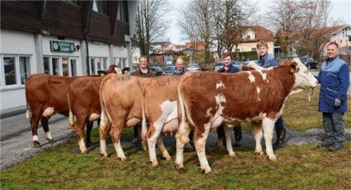 Jungkühe der Wertklasse 1 und ihre Züchter aus Steinrab, Seeon; Pettendorf, Zelln (Gemeinde Schnaitsee), Irsing und Höhenstetten bei Palling. Foto re