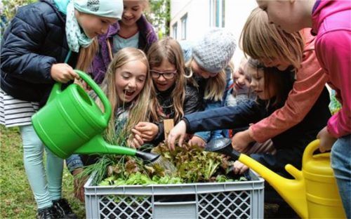 Die Schüler der Klassen 3a und 3b pflegen voller Eifer ihre Pflanzen-Kisten.Foto Heinz