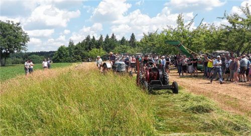 Voll funktionstüchtig präsentierten sich die historischen Mähmaschinen zur Freude der Besucher bei der Arbeit.Foto stübl