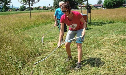 Auch jüngere Mitglieder des Nußdorfer Obst- und Gartenbauvereins, wie hier Steffi Straßburger, lernten den richtigen Umgang mit Sensen kennen.Foto Steffenhagen