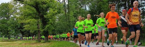 Königslauf bei Kaiserwetter: Knapp 300 Läufer waren dabei