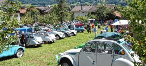 Enten-Treffen am Samerberg