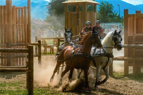 Nur wenn Pferd und Mensch ein Team sind, das sich blind vertraut, kommt man dermaßen rasiermesserscharf um die Hindernisse herum.Fotos Thomae