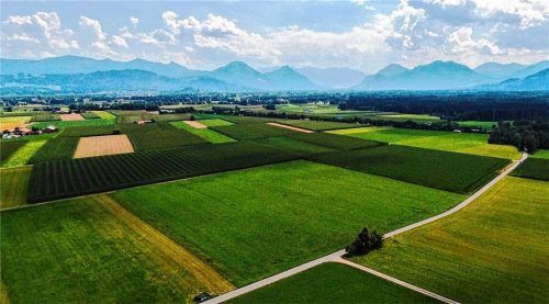 Grüne Felder statt Bahnverkehr: Eine oberirdische Trasse durch die Panger Felder soll es nicht geben. Das Foto zeigt die Panger Felder, aufgenommen von Westerndorf am Wasen mit Blick Richtung Inntal. Foto Aez