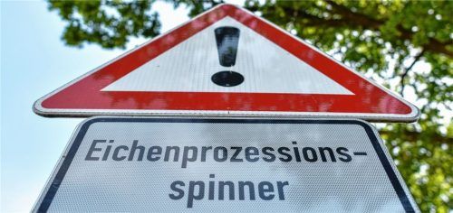 Auch die Marktgemeinde Neubeuern hat Probleme mit dem Eichenprozessionsspinner. Foto dpa