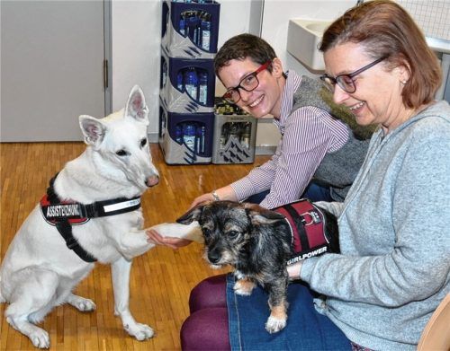 Tierisches Doppel: Nora Isabel Nogossek mit ihrer weißen Schäferhündin Yuki und Dagmar Steffen mit ihrer kleinen Hundedame Lotte in der VHS. Fotos Schlecker