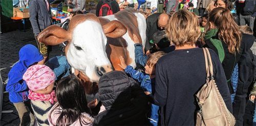 Zwar nur aus Plastik, aber dafür äußerst zahm: Milchkuh „Rosi“ durften die Buben und Mädchen sogar melken.Fotos maier