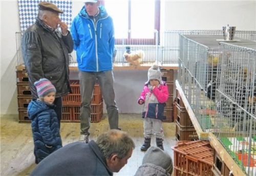 Viele Kinder beobachteten die Tiere beim Kleintiermarkt. Foto huber